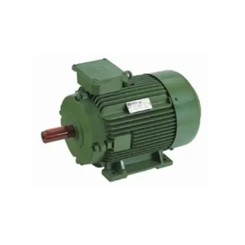IE5 Motor