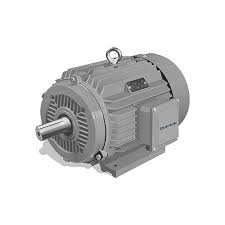 IE5 Motor